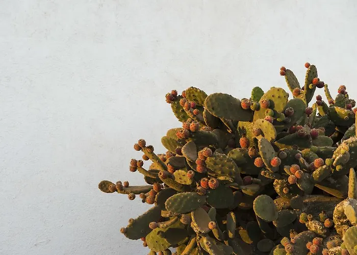 Bed & Breakfast Buenavista Lanzarote Country *