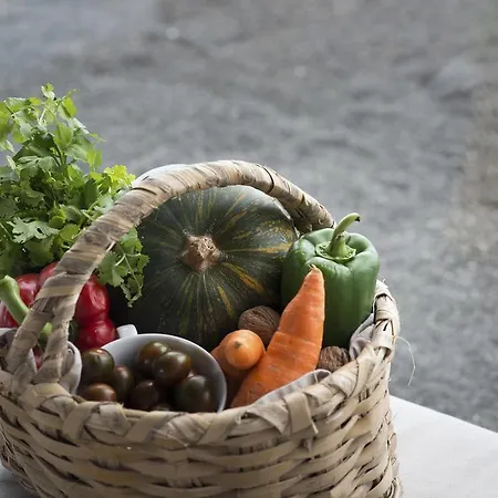 住宿加早餐酒店 布埃纳维斯塔兰萨罗特住宿加早餐旅馆 La Asomada (Lanzarote)