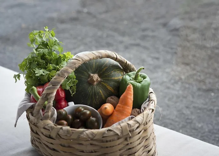 Oda ve Kahvaltı Buenavista Lanzarote Country La Asomada (Lanzarote)
